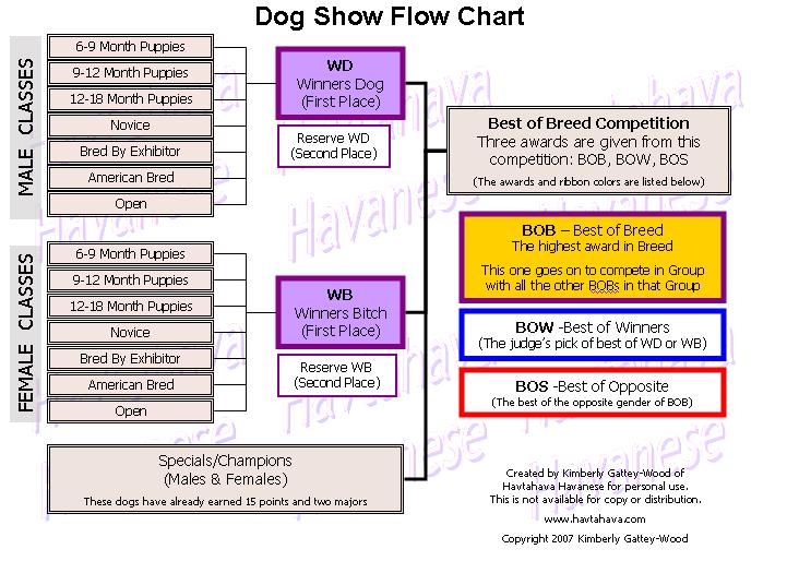 Akc+dog+breeds+chart